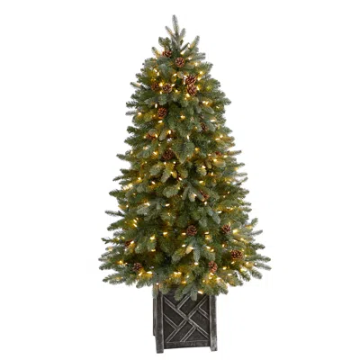 Homplanti 5' Flocked Christmas Tree W/300 Led's, 514 Lvs In Planter In Green