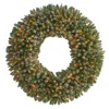 Homplanti 5' Flocked Christmas Wreath W/280 Light 680 Tips Pinecones