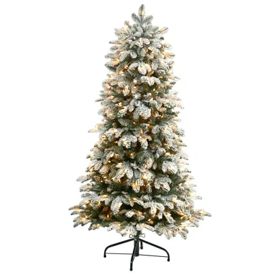 Homplanti 5' Flocked North Carolina Fir Christmas Tree W/350 Leds