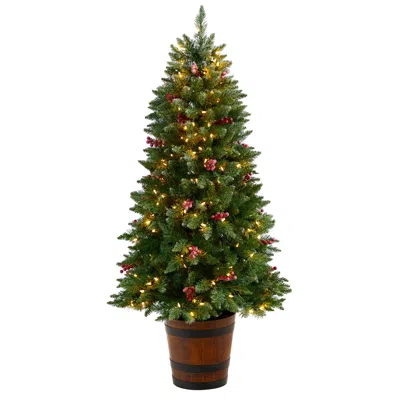 Homplanti 5' Frosted Aspen Xmas Tree W/200 Leds, 426 Tps & Berries In Green