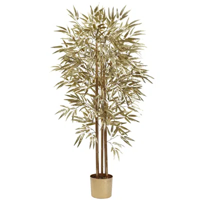 Homplanti 5' Golden Bamboo Tree X 3 W/880 Lvs