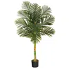 Homplanti 5' Golden Cane Artificial Palm Tree