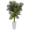 Homplanti 5' Golden Cane Palm Tree In White Tower Planter