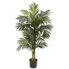 Homplanti 5' Golden Cane Palm Tree X 2 W/18 Lvs