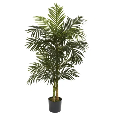 Homplanti 5' Golden Cane Palm Tree X 2 W/18 Lvs