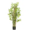 Homplanti 5' Grass Plant Bamboo