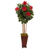 Homplanti 5' Hibiscus Tree In Decorative Planter
