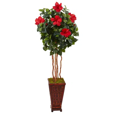 Homplanti 5' Hibiscus Tree In Decorative Planter