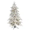 Homplanti 5' Instant Cnt Flocked Xmas Tree, 386 Tips, 650 Micro Led