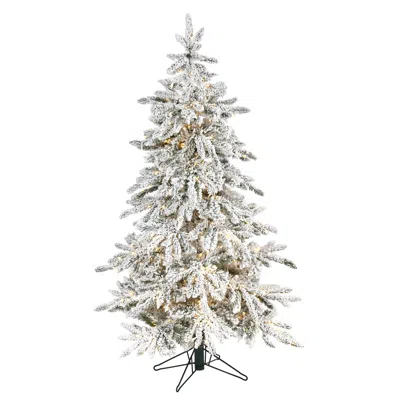 Homplanti 5' Instant Cnt Flocked Xmas Tree, 386 Tips, 650 Micro Led
