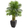 Homplanti 5' Kentia Palm Artificial Tree In Black Planter