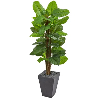 Homplanti 5' Large Leaf Philodendron Plant Slate Planter (real Touch)