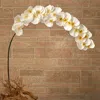 Homplanti 5' Large Phalaenopsis Orchid Artificial Flower (set Of 2)