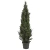 Homplanti 5' Mini Cedar Pine Tree W/1565 Lvs