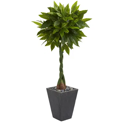 Homplanti 5' Money Artificial Tree In Slate Planter (real Touch) In Gray