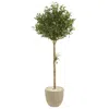 Homplanti 5' Olive Topiary Artificial Tree In Sand Stone Planter