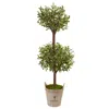 Homplanti 5' Olive Tree In Farmhouse Planter