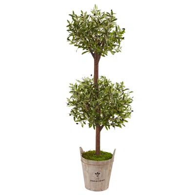 Homplanti 5' Olive Tree In Farmhouse Planter