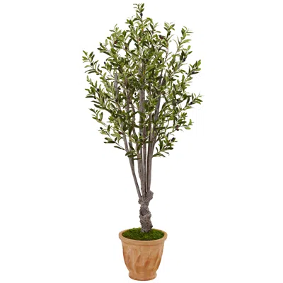 Homplanti 5' Olive Tree In Terracotta Planter