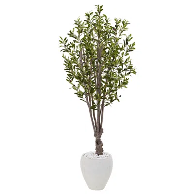Homplanti 5' Olive Tree In White Oval Planter