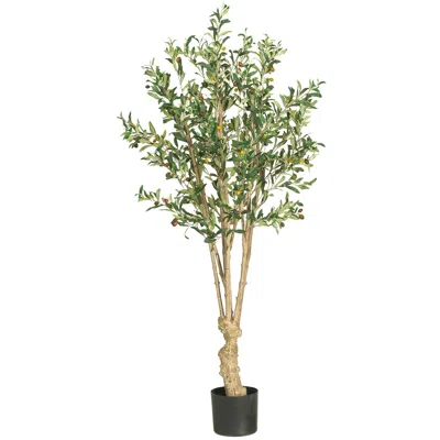Homplanti 5' Olive Tree W/1380 Lvs