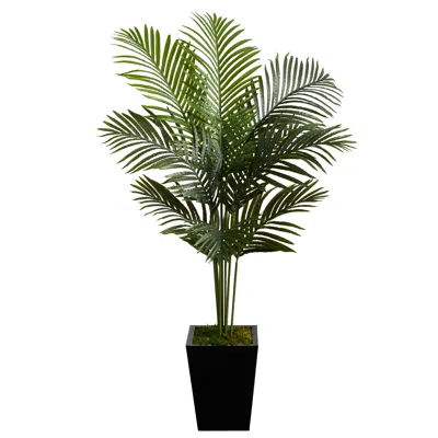 Homplanti 5' Paradise Palm Artificial Tree In Black Metal Planter