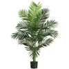 Homplanti 5' Paradise Palm Tree W/12 Lvs
