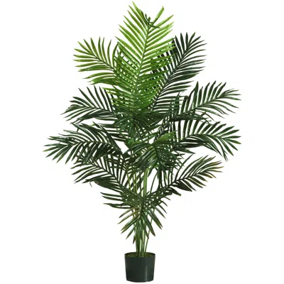 Homplanti 5' Paradise Palm Tree W/12 Lvs