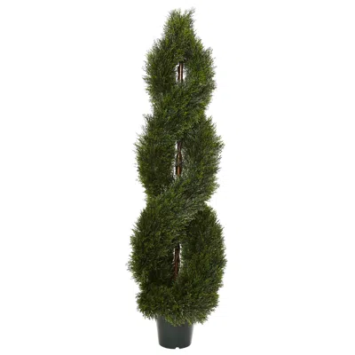 Homplanti 5' Pond Cypress Topiary Uv Rest W/1702 Lvs (indoor/outdoor)