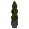 Homplanti 5' Pond Cypress Tree In Planter Uv Res(indoor/outdoor)