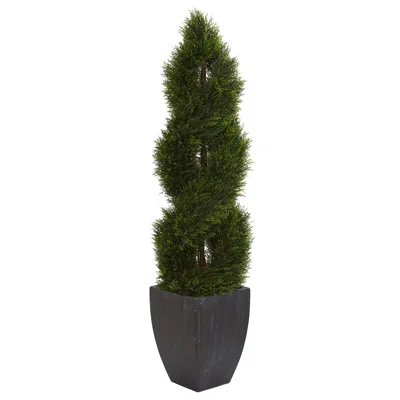 Homplanti 5' Pond Cypress Tree In Planter Uv Res(indoor/outdoor)