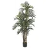 Homplanti 5' Robellini Palm Tree W/30 Lvs