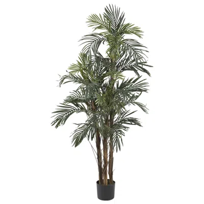 Homplanti 5' Robellini Palm Tree W/30 Lvs