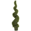 Homplanti 5' Rosemary Spiral Tree W/2184 Lvs