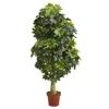 Homplanti 5' Schefflera Artificial Tree (real Touch)