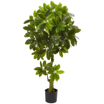 Homplanti 5' Schefflera Tree Uv Resistant (indoor/outdoor)
