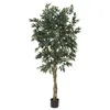 Homplanti 5' Smilax Tree W/1728 Lvs