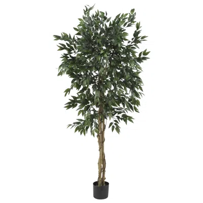 Homplanti 5' Smilax Tree W/1728 Lvs