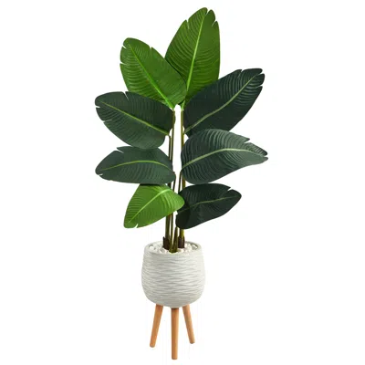 Homplanti 5' Travelers Palm Tree In White Planter With Stand