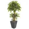 Homplanti 5' Variegated Ficus Artificial Tree In Slate Planter