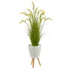 Homplanti 5" Wheat Grain Artificial Plant In White Planter With Legs