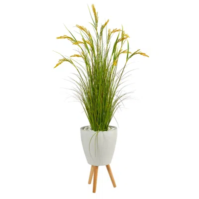 Homplanti 5" Wheat Grain Artificial Plant In White Planter With Legs