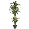 Homplanti 5' Yucca Silk Plant