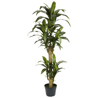 Homplanti 5' Yucca Silk Plant