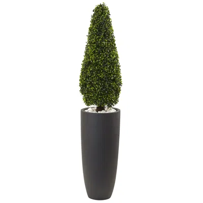 Homplanti 50" Boxwood Topiary W/gray Plntr Uv Rest (indoor/outdoor)