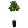 Homplanti 50" Fiddle Leaf Artificial Tree In Black Metal Planter