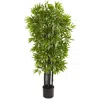 Homplanti 51" Bamboo Tree With Black Trunks Uv Resist (indoor/outdoor)