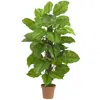 Homplanti 52" Large Leaf Philodendron Plant (real Touch)