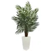 Homplanti 5.5' Areca Palm Tree In White Tower Planter