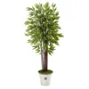 Homplanti 5.5' Bamboo Artificial Tree In Decorative Planter